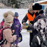 Мониторинг использования световозвращающих элементов прошел в Томском районе