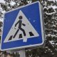 В Томском районе проходит профилактическое мероприятие «ПЕШЕХОД - ПЕШЕХОДНЫЙ ПЕРЕХОД»